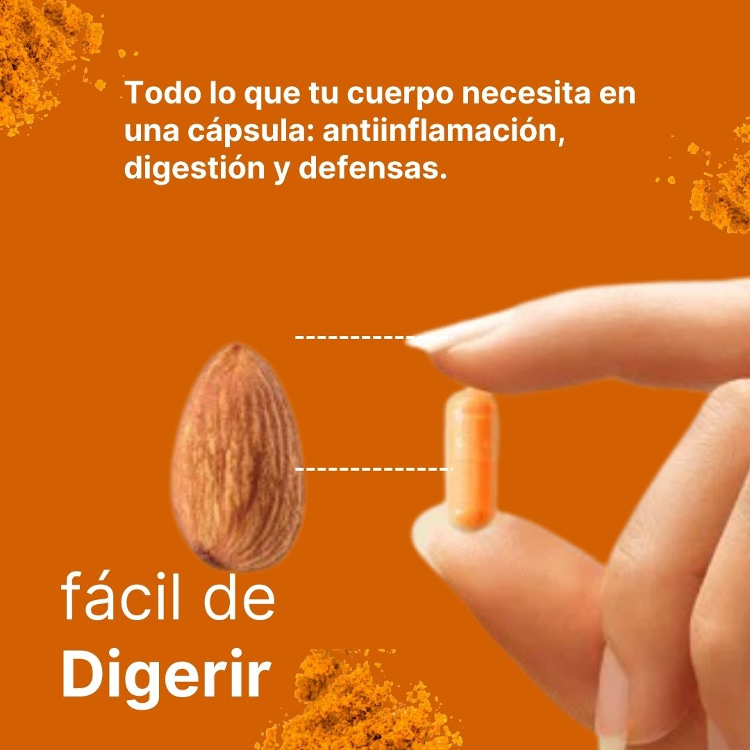 Micro Ingredientes Curcumina de Cúrcuma- 1.000 mg