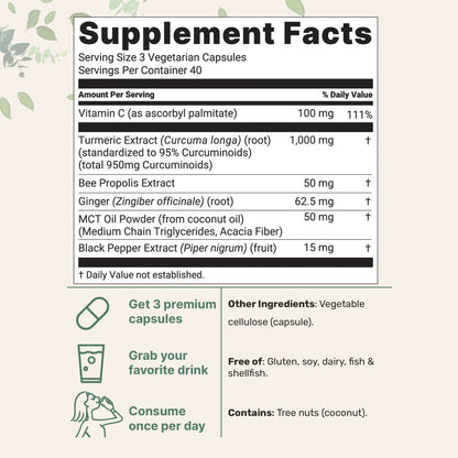 Micro Ingredientes Curcumina de Cúrcuma- 1.000 mg